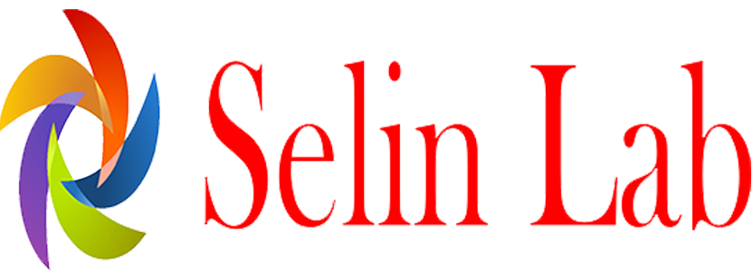 SSELİNLAB